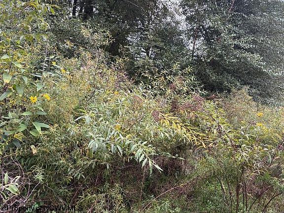3rd image of Crystal Springs Rd