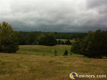 Enter Photo CaptioView from top of hill- 40 acres