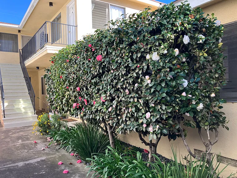 1634 Federal Ave #4 — Photo 3