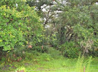 Osteen Maytown Rd, Osteen, FL 32764