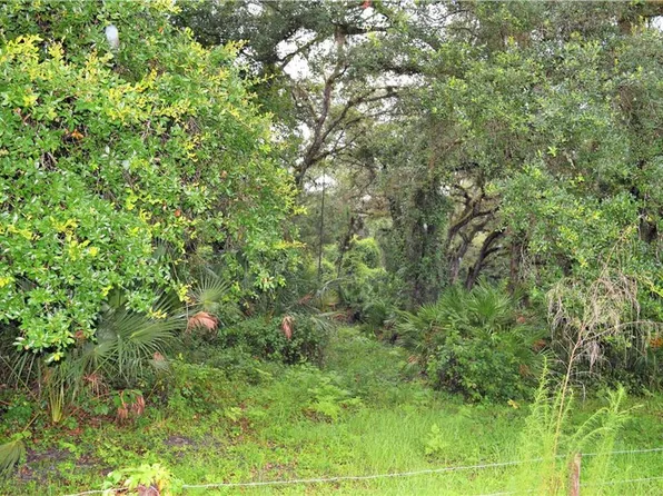 Osteen Maytown Rd, Osteen, FL 32764