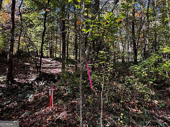 3rd image of 6X Laurelwood