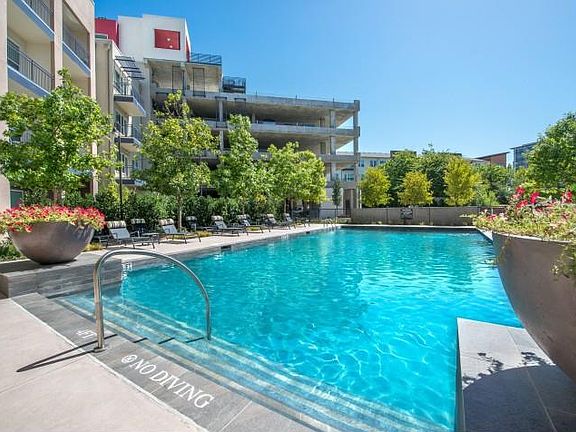 Relaxing Swimming Pool