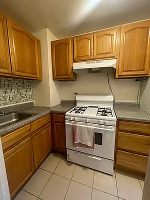 Rented by NYC LUXURY APT RENTALS CO LLC | media 9