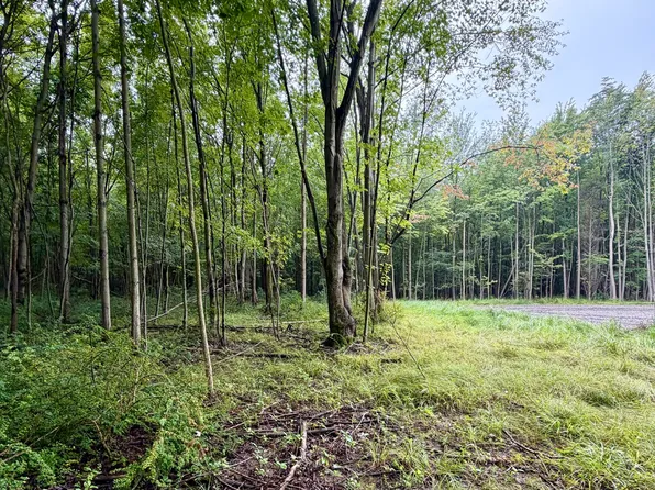 LOT 6 Christopher Ln, South Haven, MI 49090