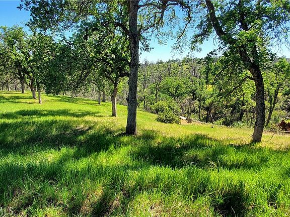 3rd image of 15687 Stagecoach Rd Lot 637