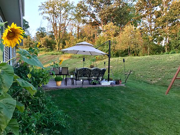 Back yard
