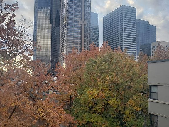 Views