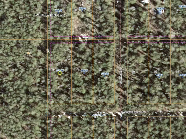 19815 E Caughtabigone Ave, Talkeetna, AK 99676