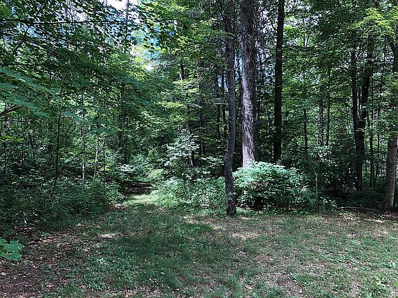 Trail leading to open area