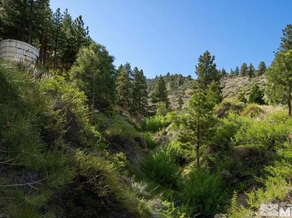 174 5th St, Genoa, NV 89411
