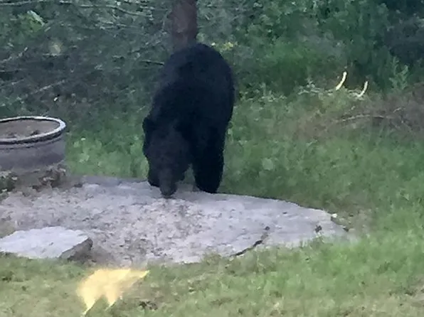 1389 Peaceful Ln #4, Yellville, AR 72687