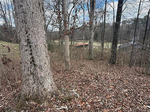 5th image of Melissa Ln