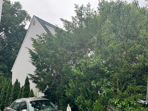 3rd image of 57 Rosalie St