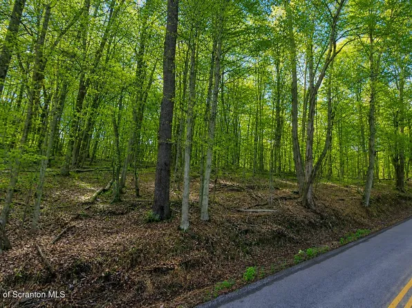 Gravel Pond Road Glenburn Twp, Clarks Summit, PA 18411