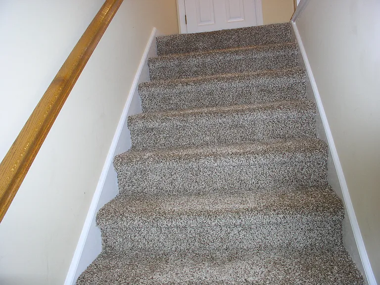 1315 Shearron Ct — Photo 3