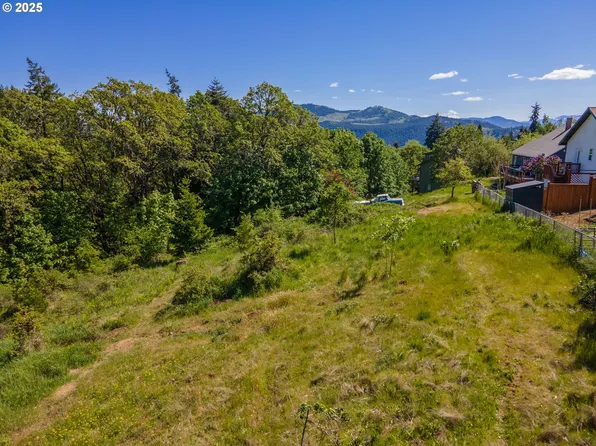 NE Stauch Ave, White Salmon, WA 98672