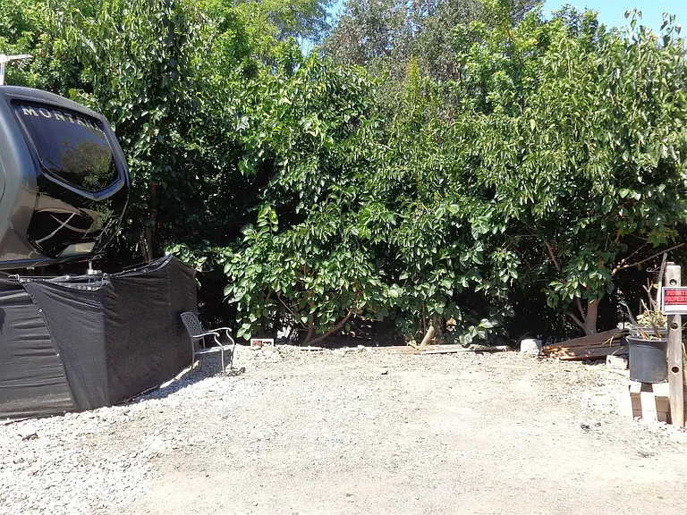 762 Taylor St — Photo 2
