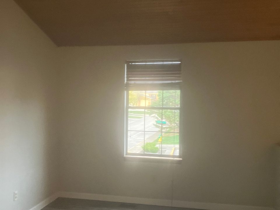 Living room wall, vaulted wooden ceiling and window
