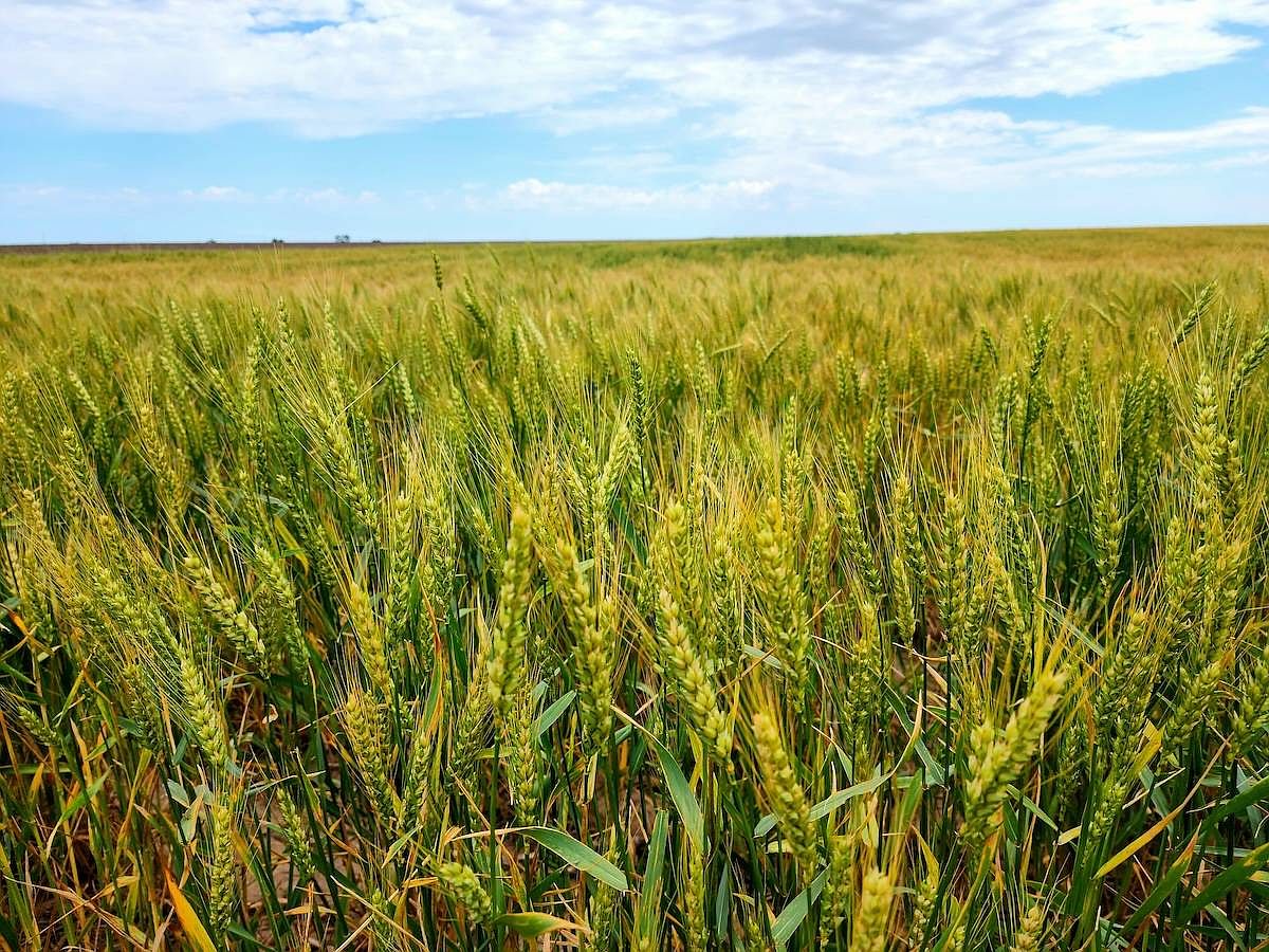 193rd St, Dorrance, KS 67634 MLS 11288418 Zillow