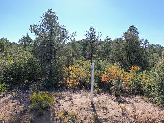 2nd image of 12850 N Chancella Cir