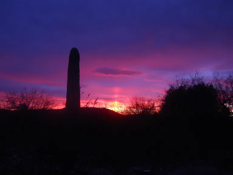 Oh the sunsets - birds chirping, coyotes calling, owls hooting. Just around the corner is Bear creek with intermittant flowing water.