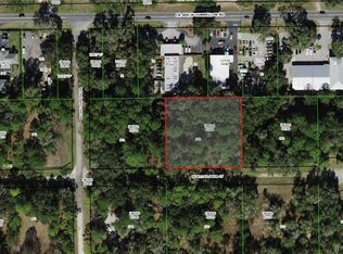 2217 W Wildflower Ct, Dunnellon, FL 34434