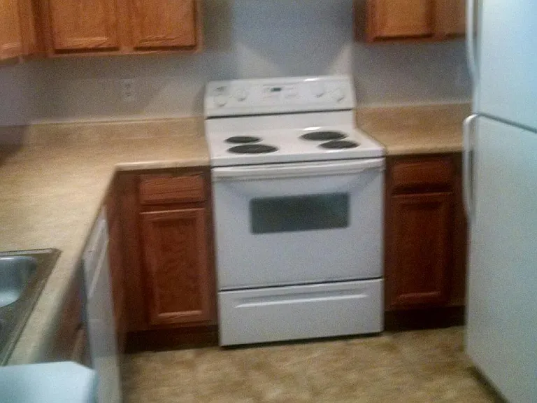 307 Maddies Way — Photo 2