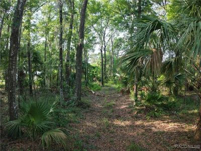 0 SE 144th Pl, Inglis, FL, 34449