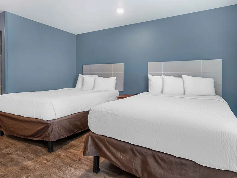 Studio Suite - 2 Full Beds