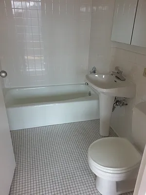 Rented by Tompkins Square Realty | media 28