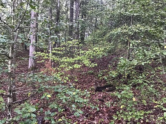 5th image of 0 Low Brace Rd