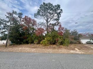 10415 Laval St, Spring Hill, FL 34608