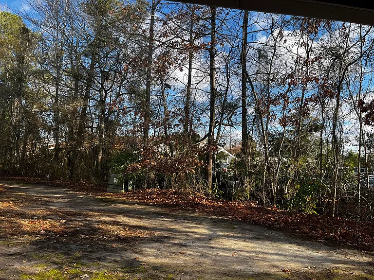 1141 Turtle Creek Rd #C — Photo 20