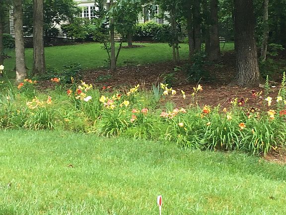 3rd image of 77 Lake Laurel Dr