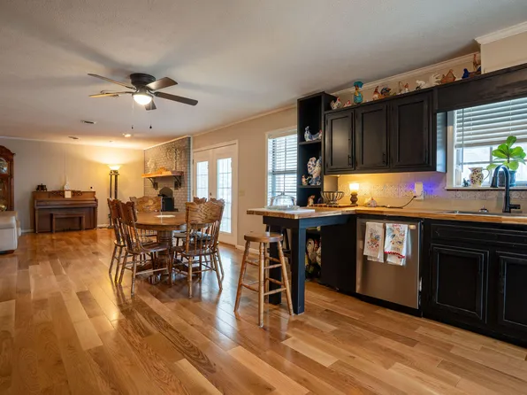 9738 State Highway 40, Henagar, AL 35978