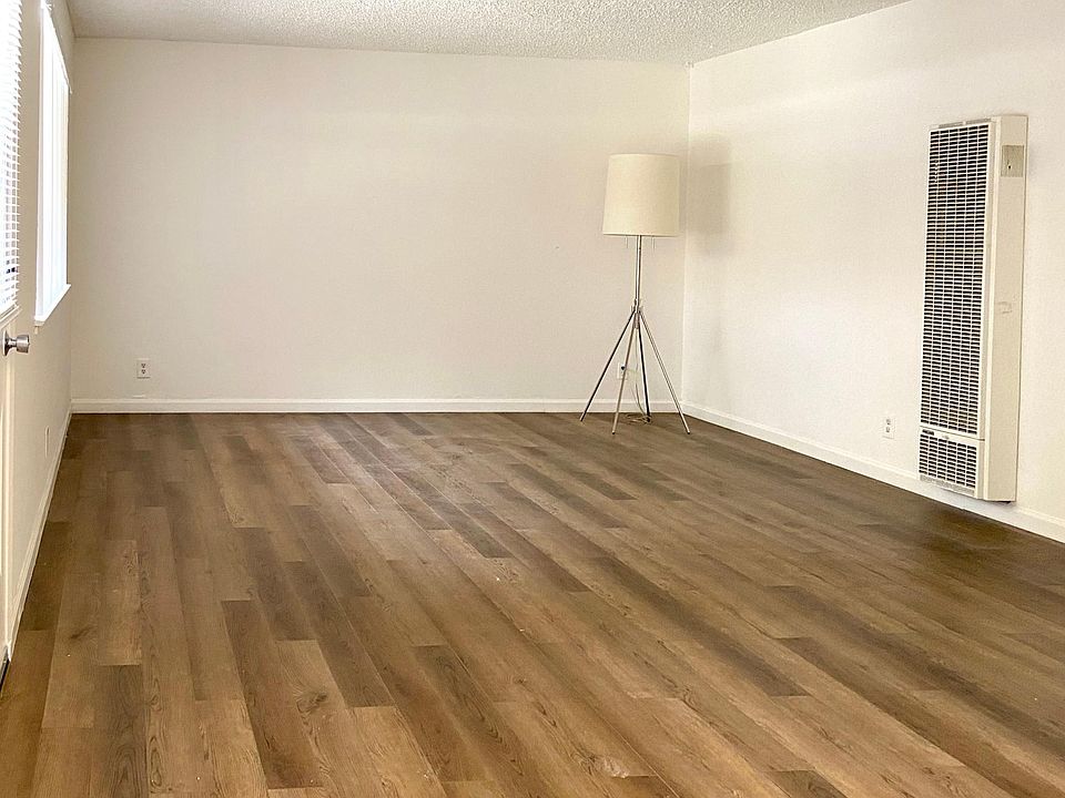 Spacious living room. New flooring.
