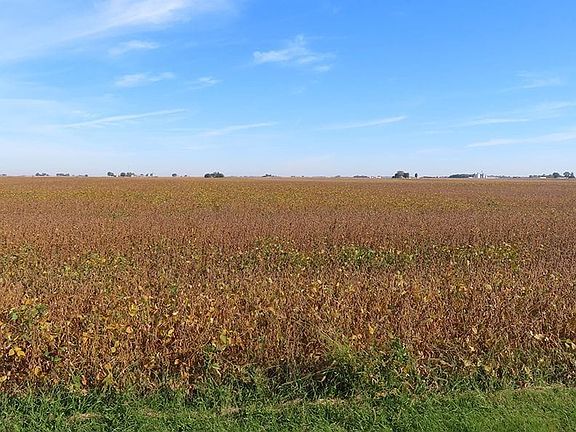 Freise Trust Farm, looking north