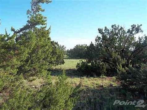 2nd image of 8495 Javelina Dr