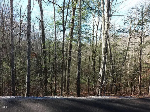 Whetstone Rd, Sevierville, TN 37862