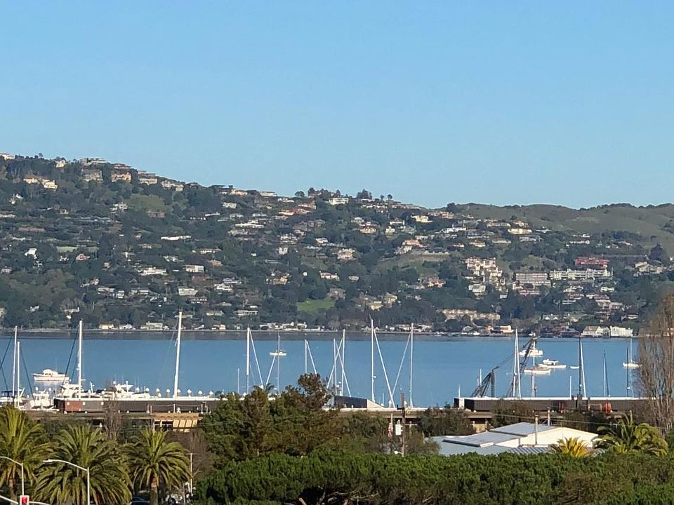 Great view, wall facing bay is all windows. Looking across to Tiburon/Belvedere.