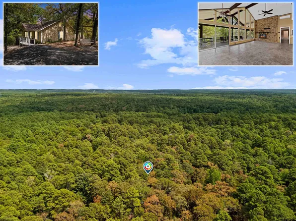 1392 W Holly Trl, Holly Lake Ranch, TX 75765