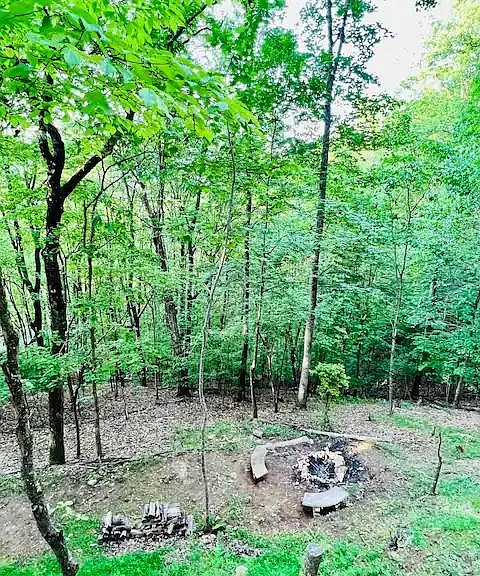 69 Locust Ln — Photo 22