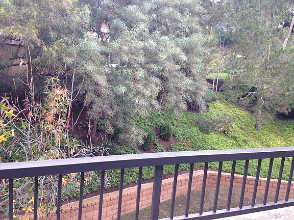 Patio View # 1