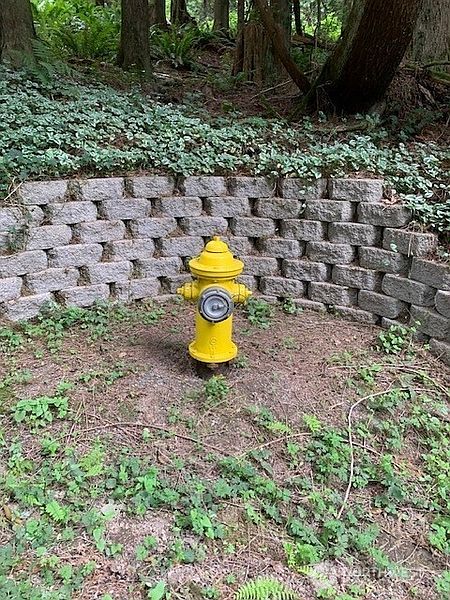 4th image of 3440 E Ames Lake Drive NE