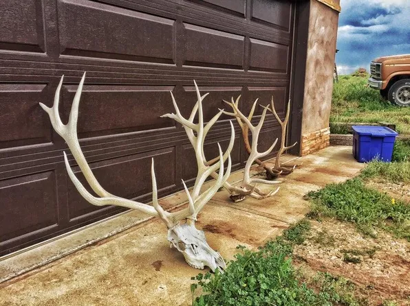 240 Ac Cres #521, Walsenburg, CO 81089