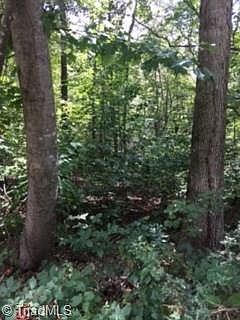 5th image of LOT 37 W Meadow Pkwy