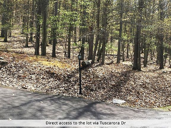 3rd image of 164 Tuscarora Dr