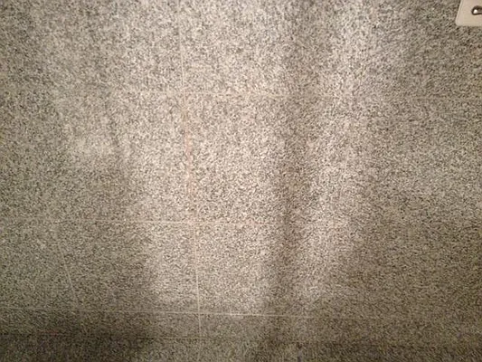 Rented by Charles Coutinho LLC | media 55