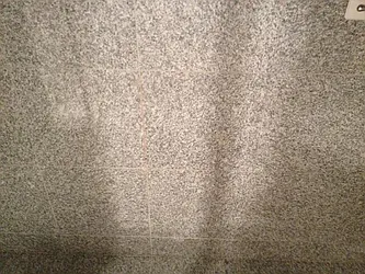 Rented by Charles Coutinho LLC